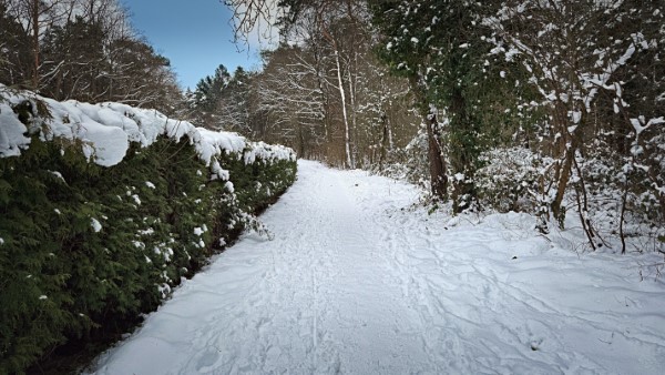 Porzer Winterlaufserie 2024